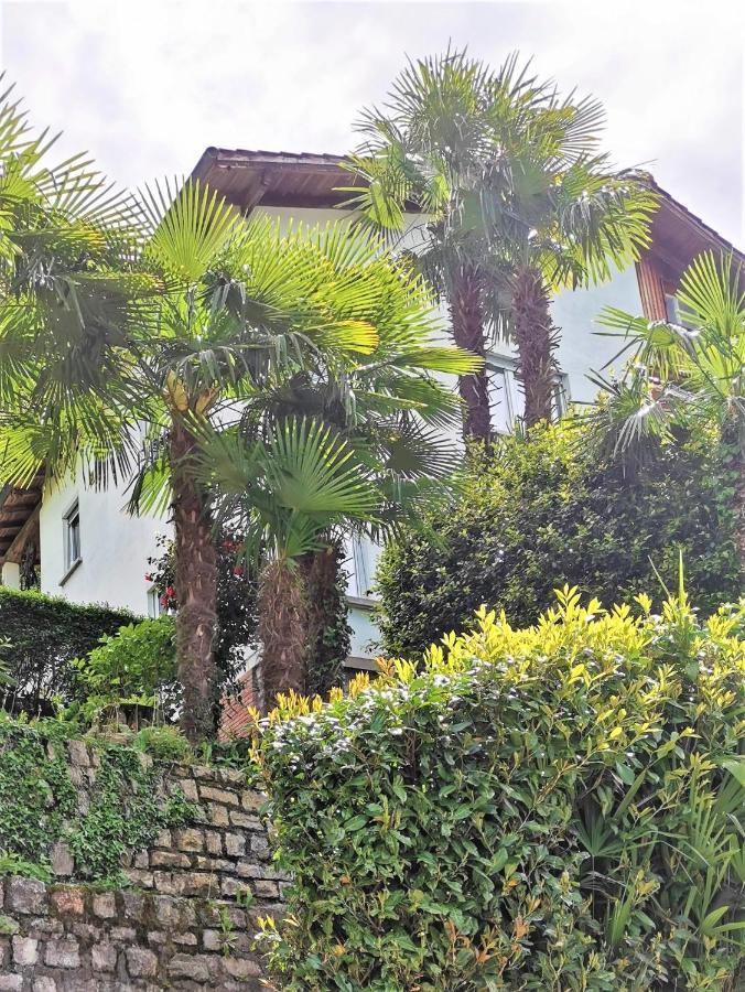 Apartment Casa Le Palme -montagnola Collina d'Oro