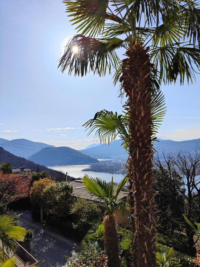 Casa Le Palme -montagnola
