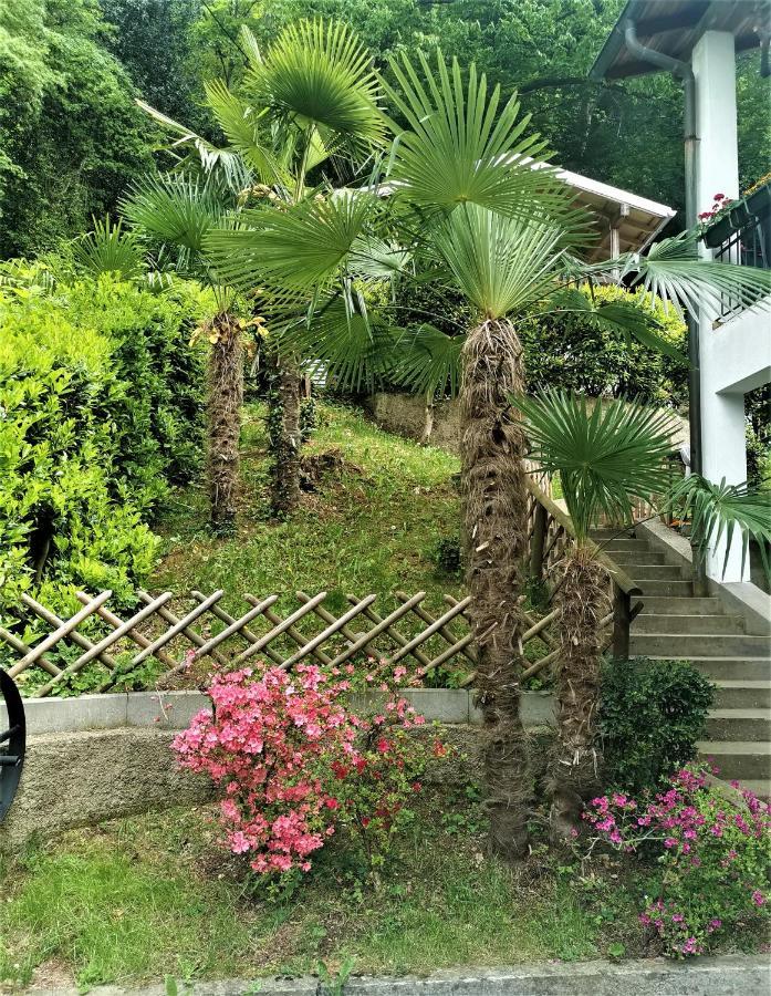 Apartment Casa Le Palme -montagnola